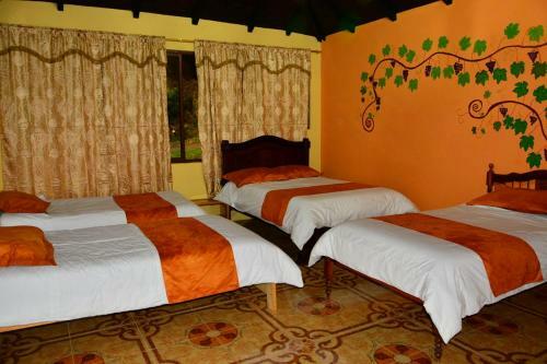 Lodge Hotel Orqu�deas Runtun