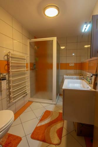 Apartamento Vineyard Cottage Ho?evar