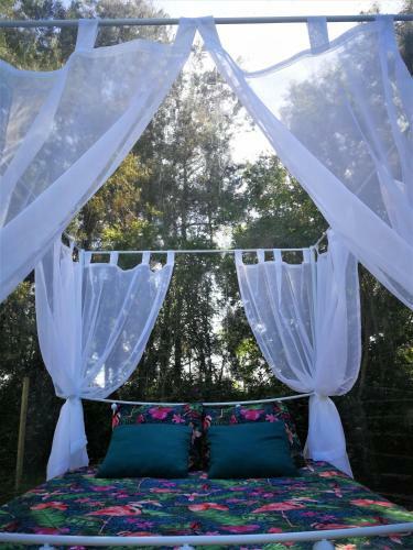 Glamping Groei