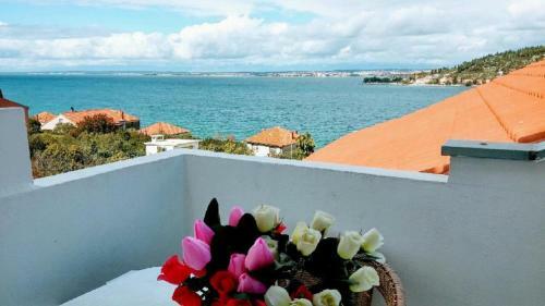 Apartments Denko - With Pool