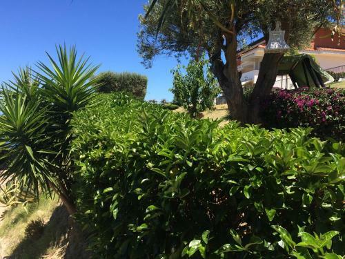 Apartamento Villa Del Conte