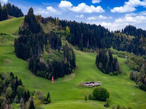 Beautiful Apartment In Kitzbuhel With A Garden
