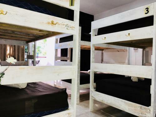 Hostal Bunk Bed In Female Dormitory Room