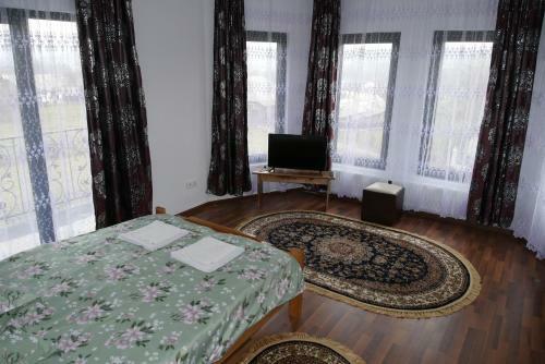 Hostal Pensiunea Vraja