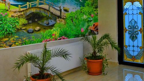 Hostal Pensiunea Vraja