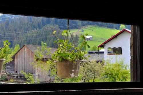 Villa Black Valley House