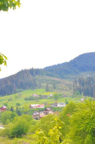 Villa Black Valley House