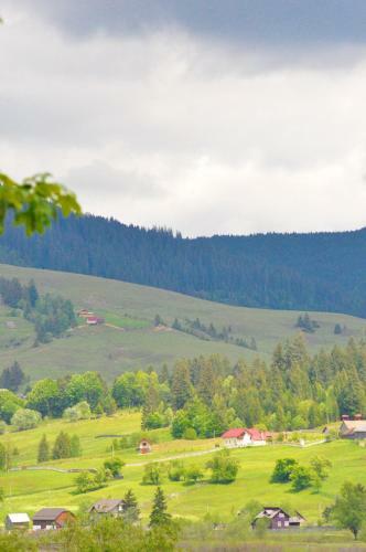 Villa Black Valley House