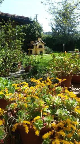 Agroturismo Agrisantanna