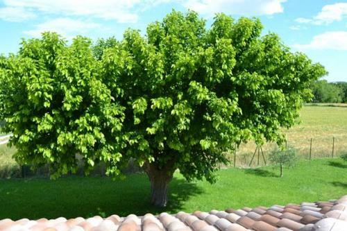 Apartamento Il Poggetto