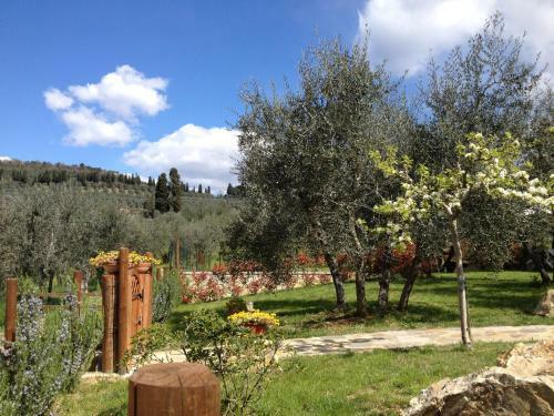 Agroturismo Agriturismo Il Viaio