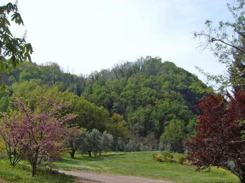 Villa Podere Il Ruscello