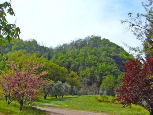 Villa Podere Il Ruscello