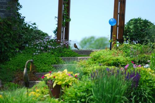 Golden Pathways Retreat B&B