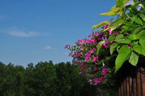 Golden Pathways Retreat B&B