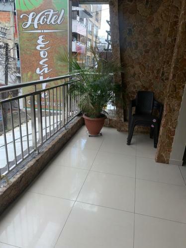 Hotel Ecosuite
