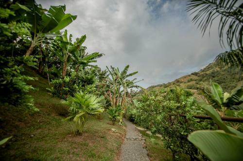 Cerro Tusa Glamping