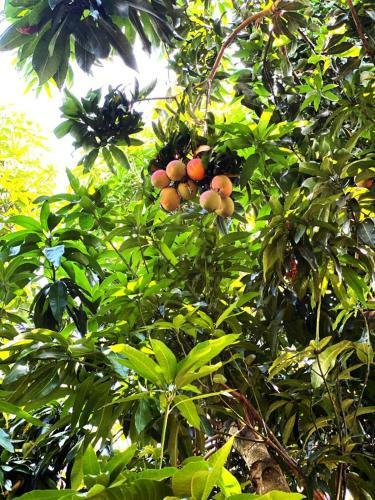 Hotel Finca Campestre La Mar�a