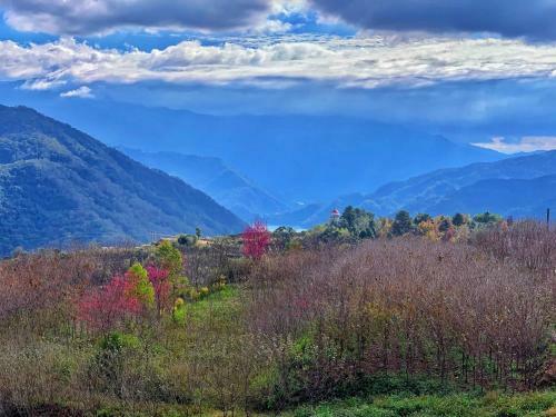 Tian Hsiang Tea B&B