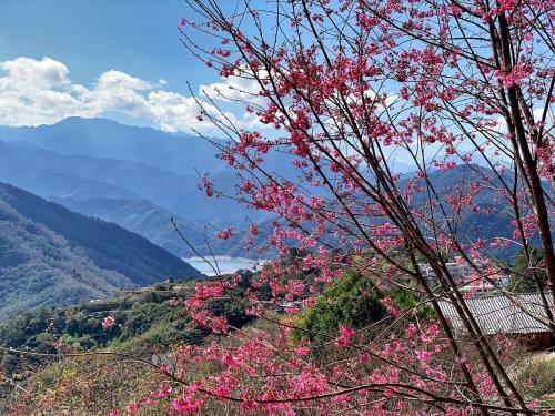 Tian Hsiang Tea B&B