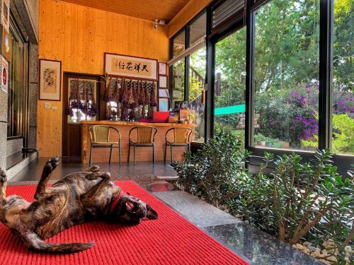 Tian Hsiang Tea B&B