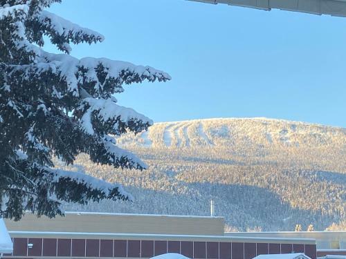 Mountain View Motel