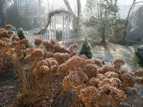 � Bois Dormant B&B