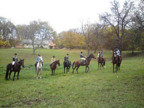 Hostal Andrea Wellness Panzi�