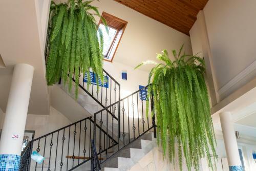Hostal Andrea Wellness Panzi�