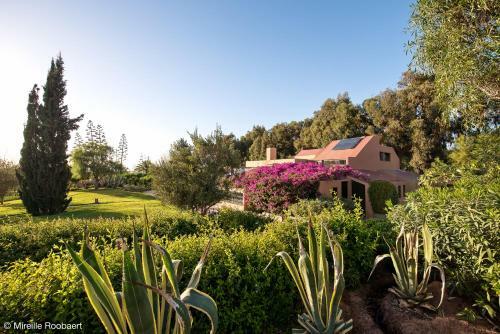Bed & Breakfast Dar Maktoub