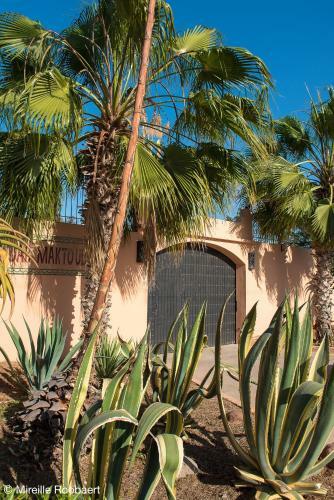 Bed & Breakfast Dar Maktoub