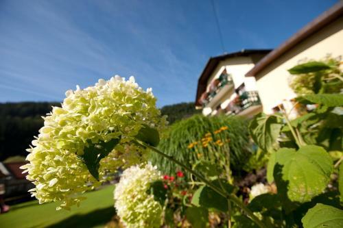 Hotel M�nichwalderhof