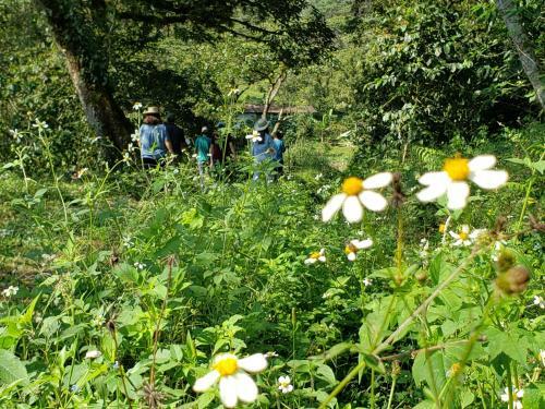 Caba�as Y Camping Aroma