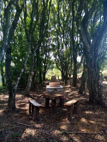 Caba�as Y Camping Aroma