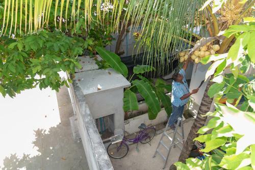 Hostal Chao Guest House