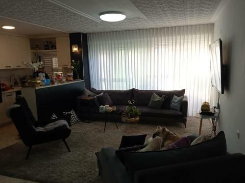 Joy Apartments