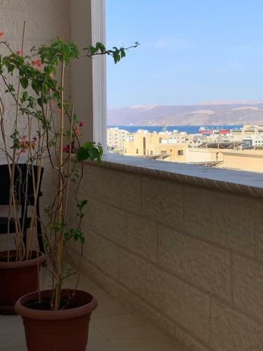 Madam Andree Hostel