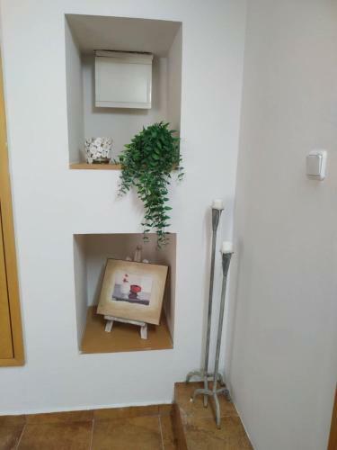 Apartamento ?????? ????