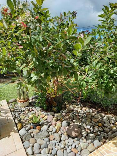 Apartamento Zen Soufriere