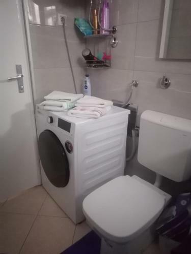Apartman Muli?