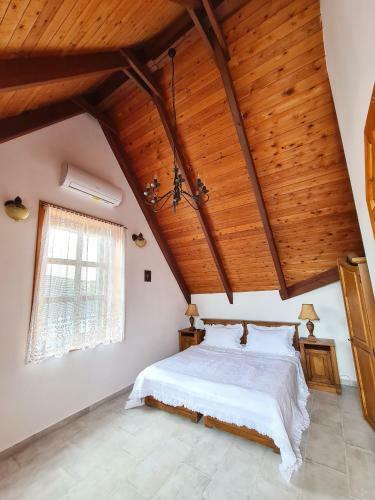 Hostal Agas Vendeghaz