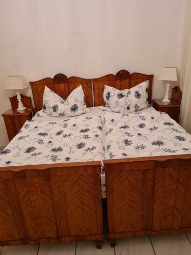 Hostal Agas Vendeghaz