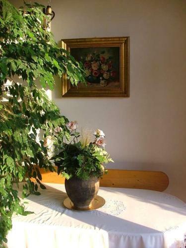 Hostal Agas Vendeghaz