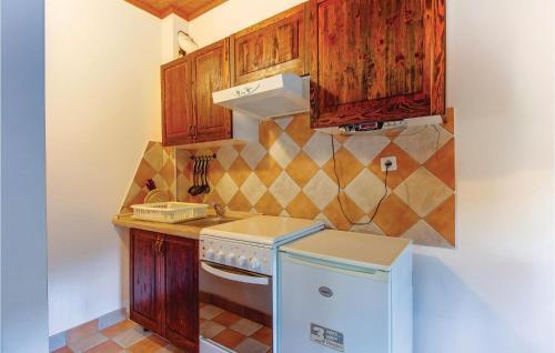 Apartment Susak V