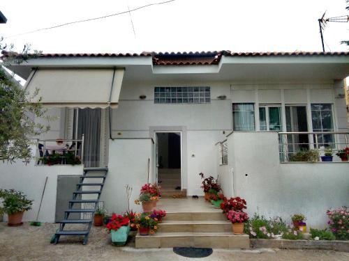 Hostal Tilis Guesthouse