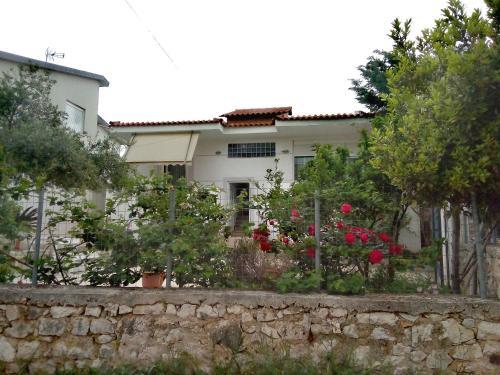 Hostal Tilis Guesthouse