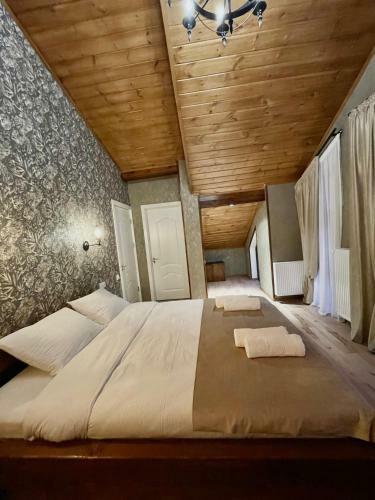 Villa Elite House Kazbegi