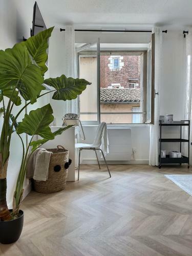 Apartamento Le Dandy - Hyper Centre - Albi