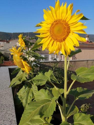 Apartamento Ideal - Disfrutar de Monta�a Y Playa Cerca (40')