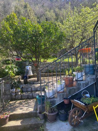 Apartamento Guest House Pocanic